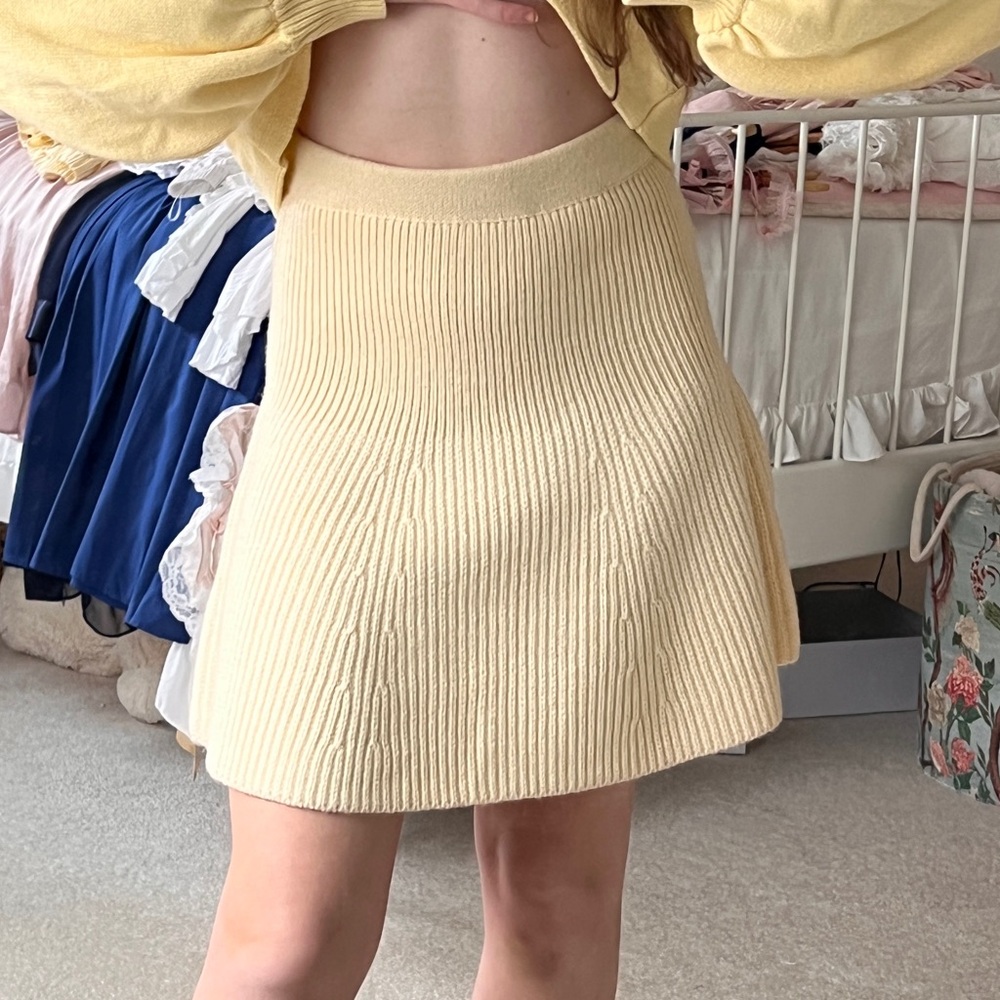 Knit Mini Skirt - Picture 8 of 9